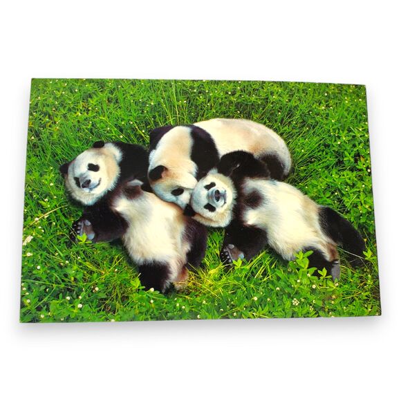 Giant Panda Postcard Book 2006 China 20 Cards Souvenir FLAWED For Crafts - Picture 2 of 11
